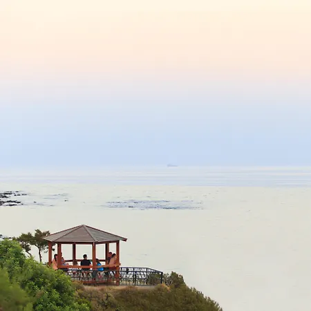 酒店 罗德公主海滩酒店